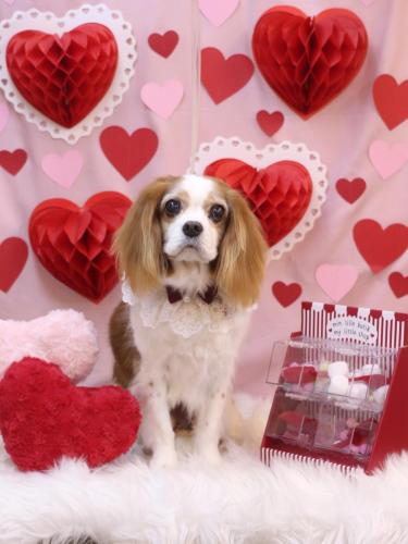 20240224マロくん